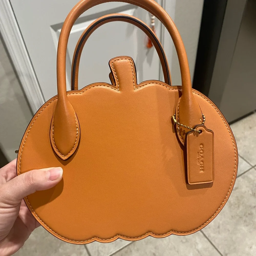 Brand new with tags coach runway pumpkin RARE - Picture 7 of 8